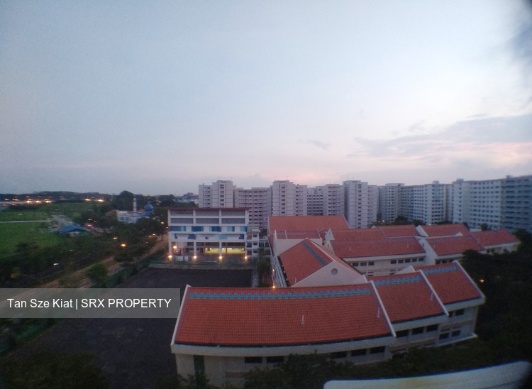 Blk 239 Pasir Ris Street 21 (Pasir Ris), HDB Executive #191940182